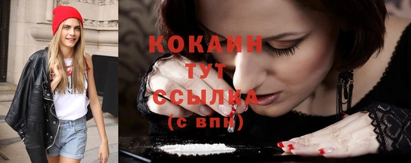 гашик Переславль-Залесский
