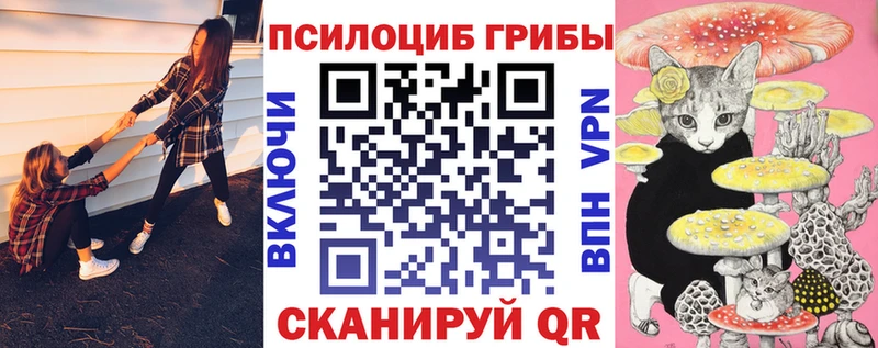 купить   Кириллов  Галлюциногенные грибы мухоморы 